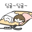 레이지크해비탯 이미지