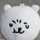 뽀바또 네이버블로그