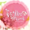 멋진 하루 이미지