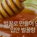 단비솜사탕