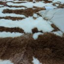 수선과 세탁 이미지