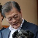 토리 이미지