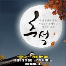 용인대 힘찬 태권도 이미지