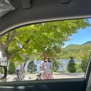 속리산365캠핑장 | [경북 상주] 속리산365오토캠핑장 1탄(캠린이, 오토캠핑장, 캠핑, 속리산캠핑장🏞️⛺️🏕️)