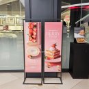 6116 | 애슐리 퀸즈 딸기축제 2026 롯데백화점 대구점 상세 정보 및 내돈내산 방문 후기