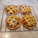 초등과학지도사1급 이미지