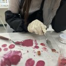 블루미컬러