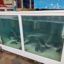 부두식당 이미지