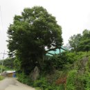 영풍월호리마애석불좌상 이미지