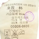 롯데대전리바이스 이미지
