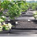 고고농장 이미지