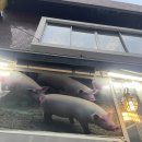 부산 양정 | 영심이왕족발 포장 후기