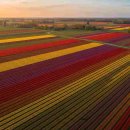 에너지자원 이미지