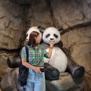 날마다 생일민박 이미지