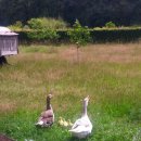 문명농장 이미지