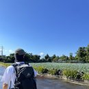 제주 올레길 12코스 이미지