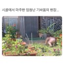 150-2-000002 | 문희는 포도가 먹고 찌픈데