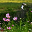 민둥산축산