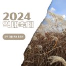 고현동 784-12일원 | 2024 전국 가을 억새 축제 일정 총정리 서울 하늘공원, 포천 명성산, 광주 서창, 정선 민둥산