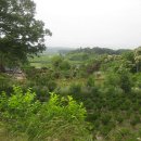 고대초교 이미지