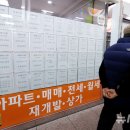 비아공인중개사사무소 뉴시스