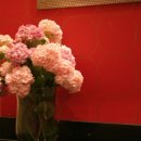 예지미피부과의원 이미지