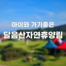 달음산자연휴양림 | 아이와 함께 가볼만한곳, 부산 기장 국립달음산자연휴양림 1박2일 국내여행지