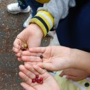 해여울어린이집 이미지