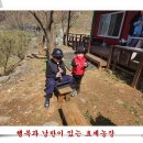 손자농장 이미지