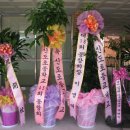 신도초등학교 이미지