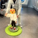 부산 아기랑 실내놀이터 추천 :) 기장 부산국립과학관 새싹누리관 이용후기 예약 수유실 주차 정보