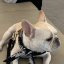 멈무는하루 이미지