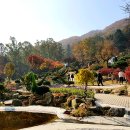 덕평공룡수목원 이미지