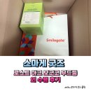 수인펫 | 스마게 굿즈 로스트아크 모코코 무드등 외 수령 후기