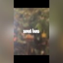 스위트번스전북