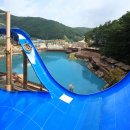 비발디파크오션월드 이미지