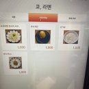 쿄라멘 이미지