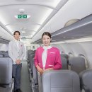 피치플랜 이미지