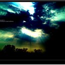 진부목장 이미지