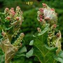 농지 투자 정보 (2025년 5월 6일 기준) 이미지