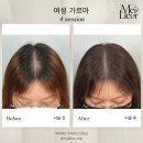 보임디자인주 이미지
