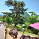 한얼목장 이미지