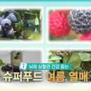 열매푸드 이미지