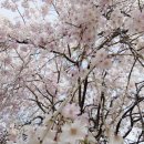 송림주유소 이미지