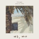 달고래정원 티스토리