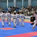 용인대 국가대표 김병태 태권도장 이미지