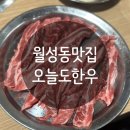 [월성동 맛집] 달서구 한우 가성비 오늘도한우 단체 회식