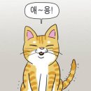 분포나인 네이버블로그