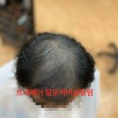 원진미용실