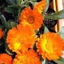 논현정보도서관 이미지